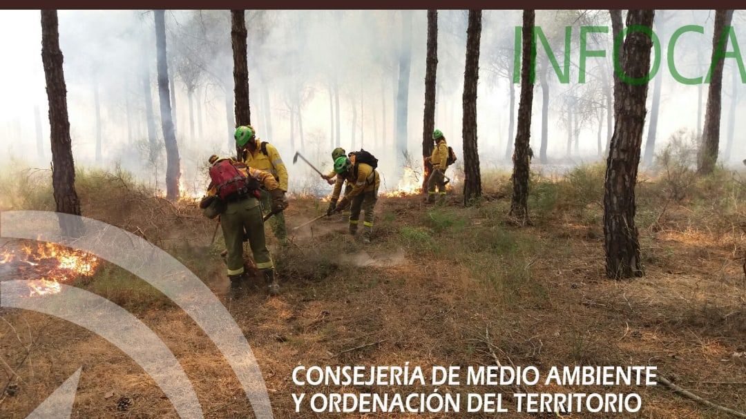 Extinguido el incendio forestal declarado de madrugada en la sierra de Marmolejo