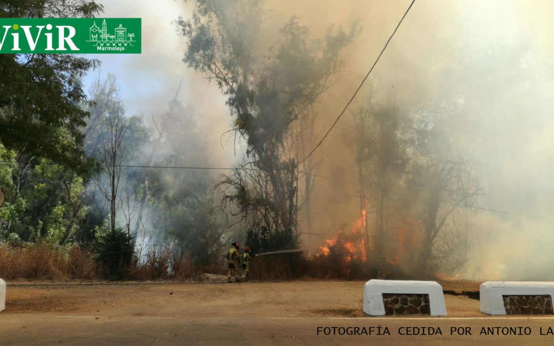 Declarado y controlado un incendio en el Balneario de Marmolejo