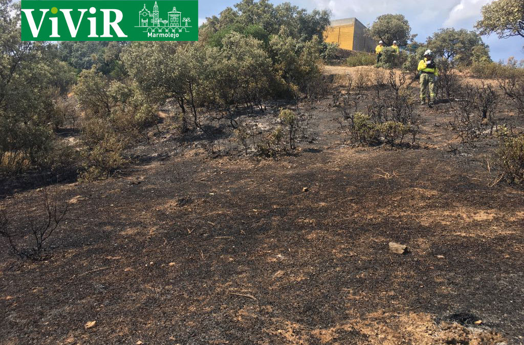 Extinguido el incendio forestal del Alto del Rincón, en el término municipal de Marmolejo