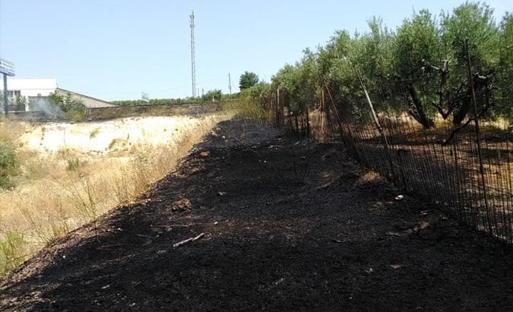 Los incendios de pastos se ceban con el polígono Mirabueno