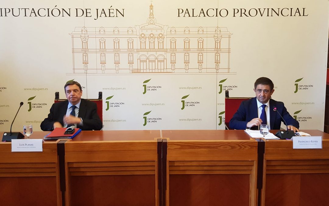 Luis Planas expone en el Consejo Provincial del Aceite de Oliva las medidas para revertir la crisis de precios