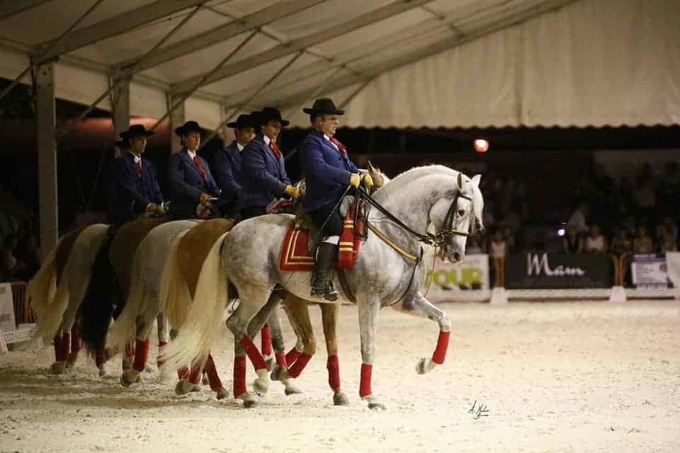 El Ayuntamiento de Andújar suspende la Feria Multisectorial y Anducab