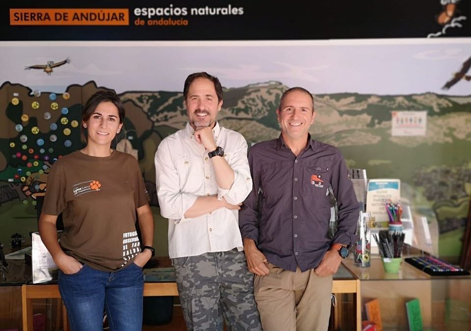 La empresa iliturgitana ‘Iberian Lynx Land’ se hace con la gestión del centro de visitantes de Viñas de Peñallana