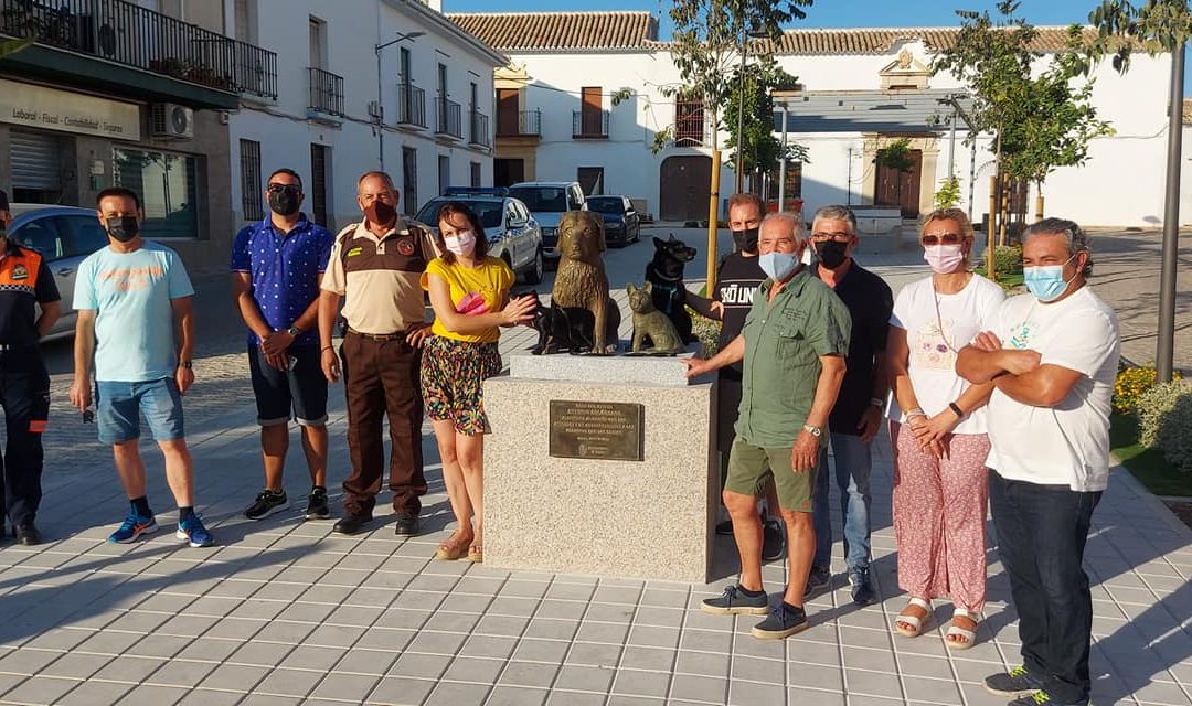 Homenaje a los animales por el Día Mundial de Perro