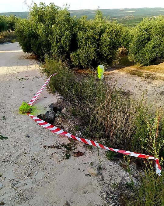 Lavado de cara para el Camino de Vilches