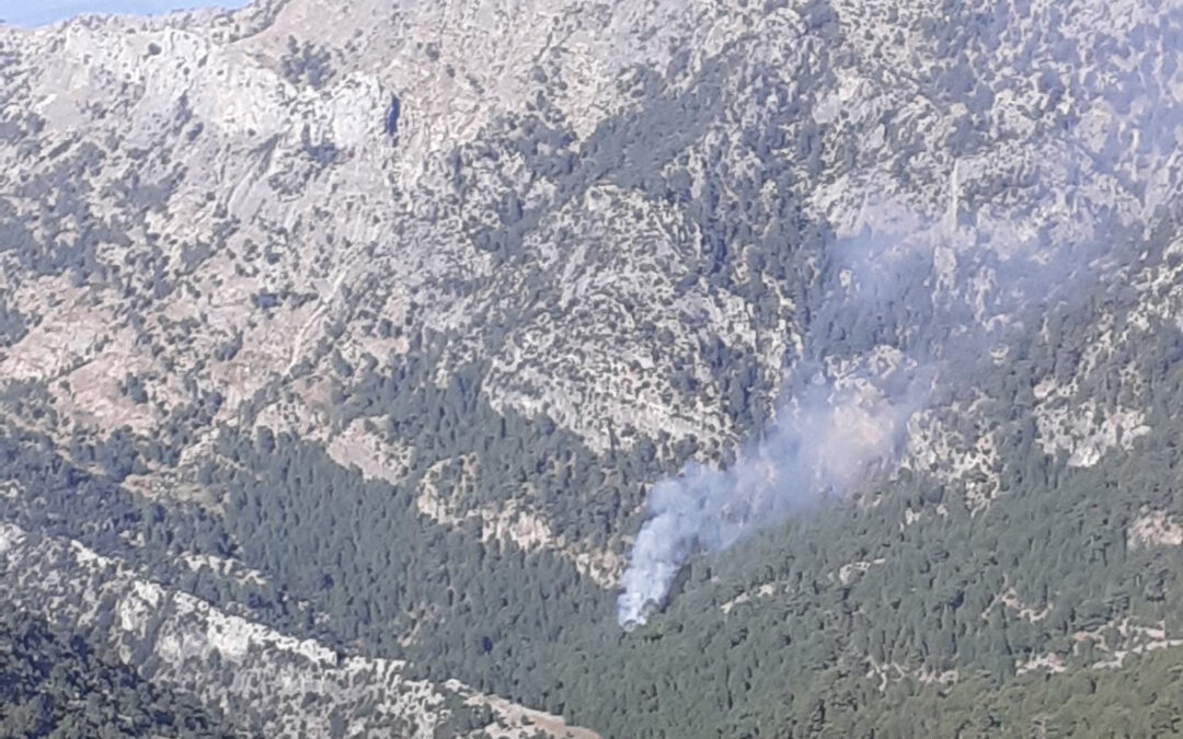 Tres medios aéreos trabajan en la extinción de un incendio forestal en la Sierra de Cazorla, Segura y las Villas