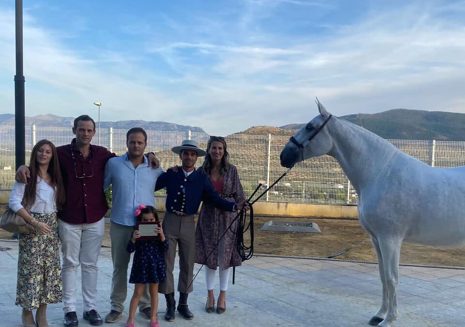 La yeguada Torres gana el XXXI Campeonato de Andalucía de Caballos de Pura Raza Española en la categoría S11