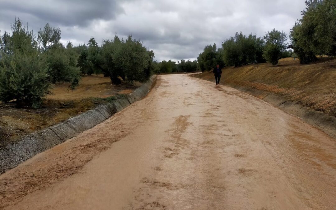 Mejoras en el Camino Cañete