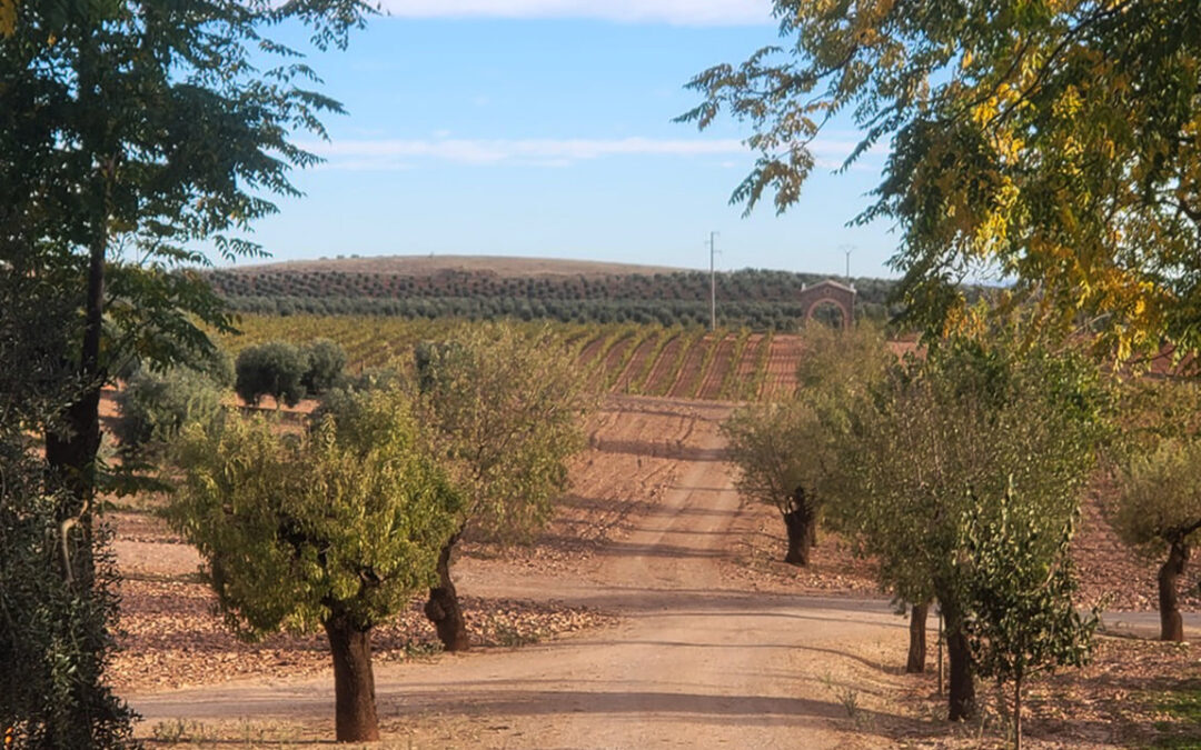 El Grupo La Paz se diversifica hacia la producción de AOVES ecológicos y vinos de gran calidad