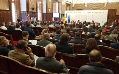 Diputación destinará 10,5 millones extraordinarios a los ayuntamientos para prestar servicios y acometer obras