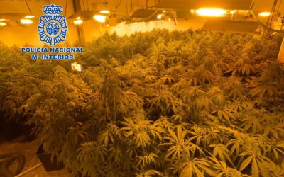 Tres operaciones antidroga en Linares se saldan con la detención de siete personas