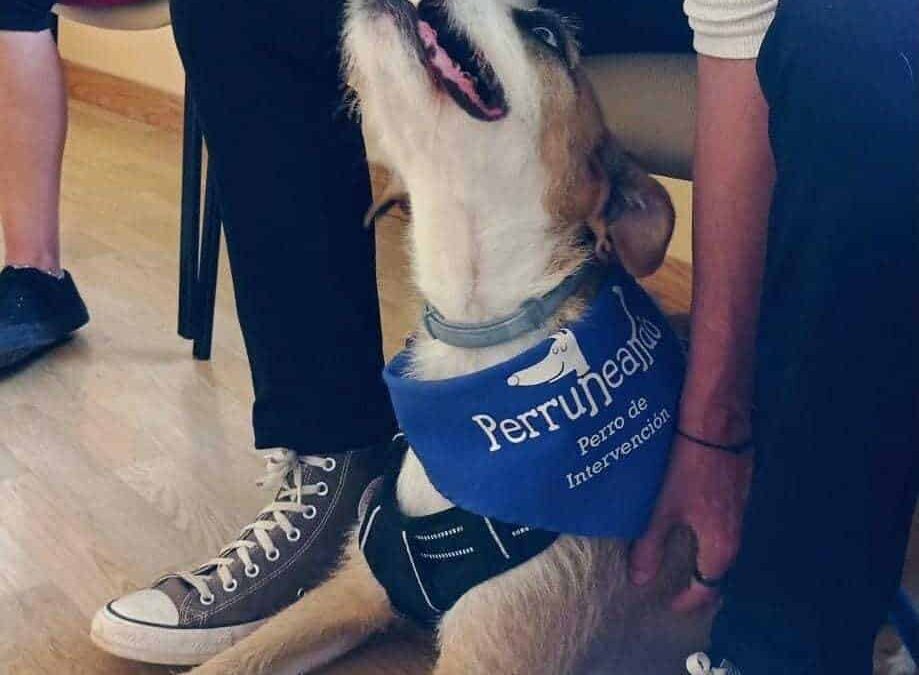 El Hospital San Agustín de Linares potencia la terapia canina entre pacientes de salud mental