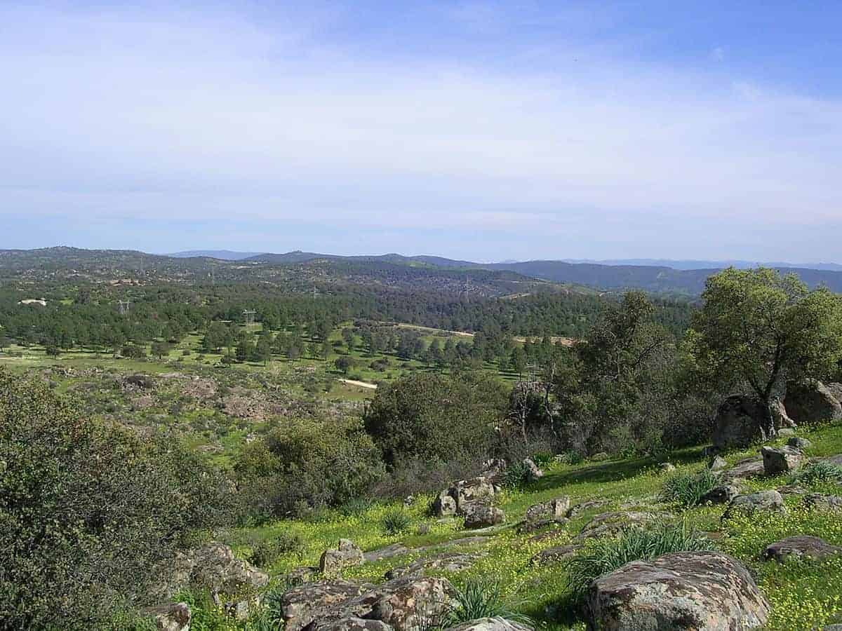 Continúan las obras del Paseo de la Libertad en Marmolejo