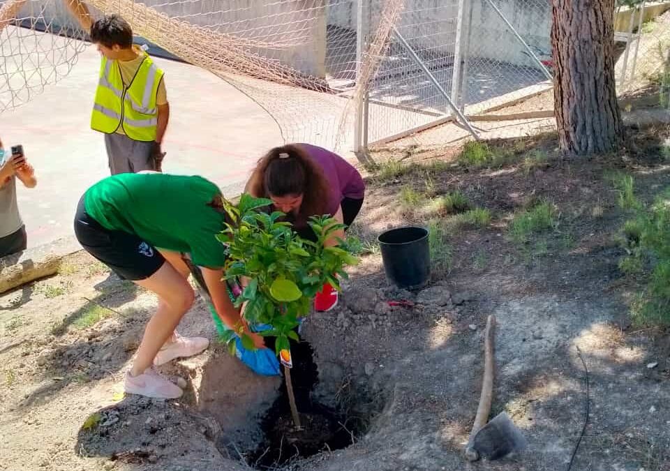 Estudiantes de Castillo de Locubín se implicaron con el medio ambiente