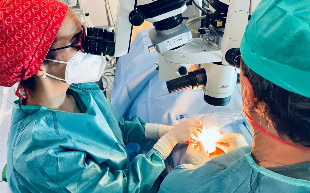 Oftalmología del Hospital de Jaén incorpora un novedoso implante para la cirugía de glaucoma