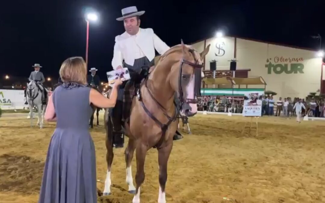 Rafael Arcos gana con Mango, el II Concurso Nacional de Doma Vaquera Ciudad de Arjona