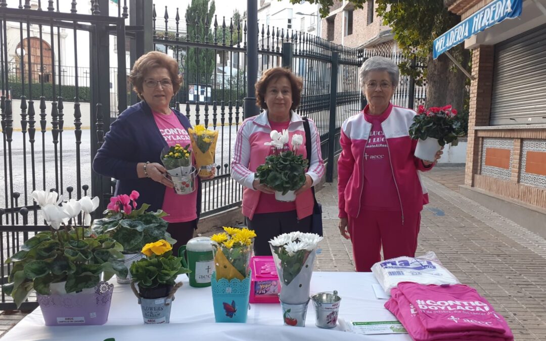 Plantas y flores contra el cáncer en Castillo de Locubín
