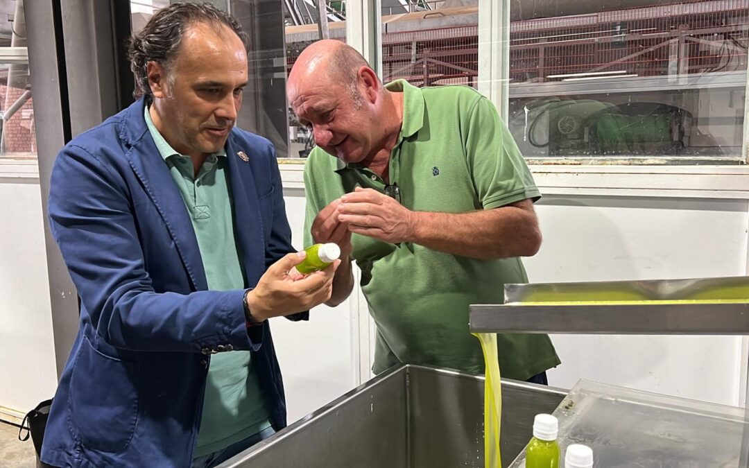 Torredelcampo obtiene su primer aceite temprano