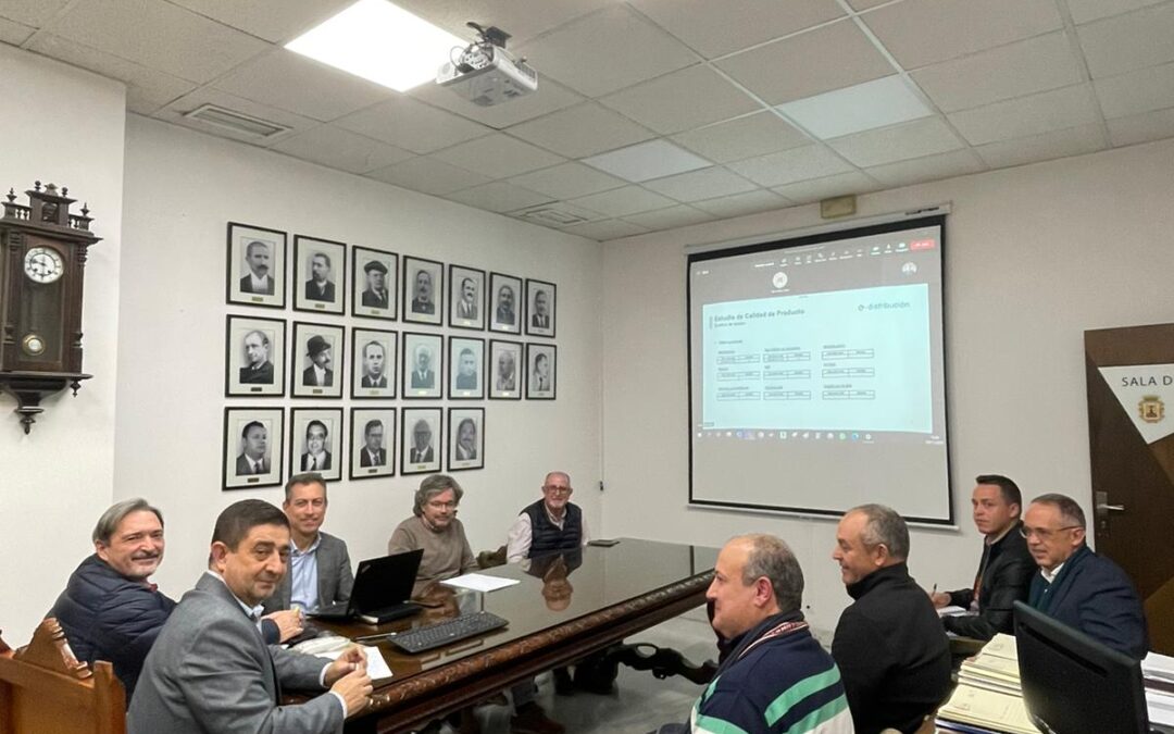 Reunión para tratar los micro-cortes eléctricos en Alcaudete