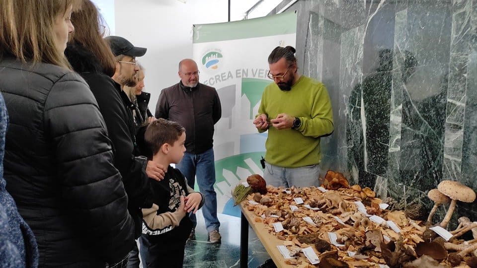 MARMOLEJO | Una actividad gratuita acercará la biodiversidad fúngica de Sierra Morena a la ciudadanía