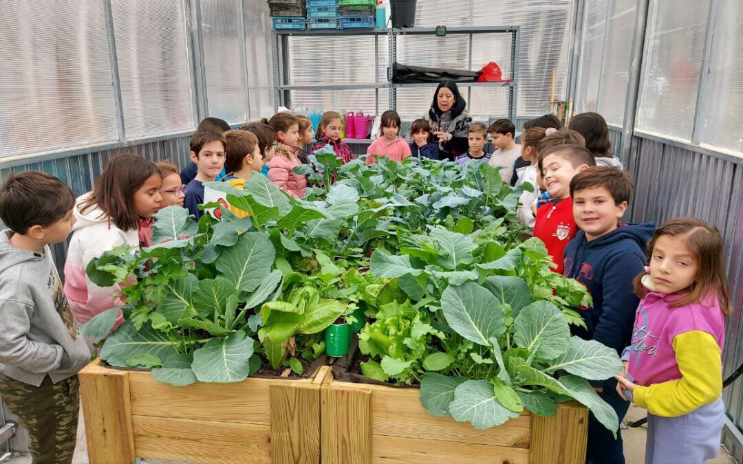 El CEIP San Isidoro retoma el proyecto «Green Power 2023»