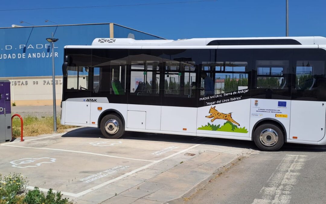 Aprobado el nuevo servicio de autobús desde Andújar al Poblado del Santuario