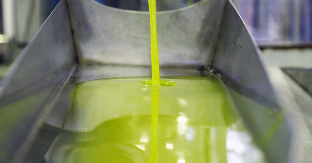 Dos aceites marteños consiguen medalla de oro en China