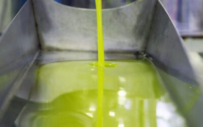 ANDÚJAR | Andújar celebra su I Oleoturismo con catas, talleres y un mercado dedicado al AOVE local