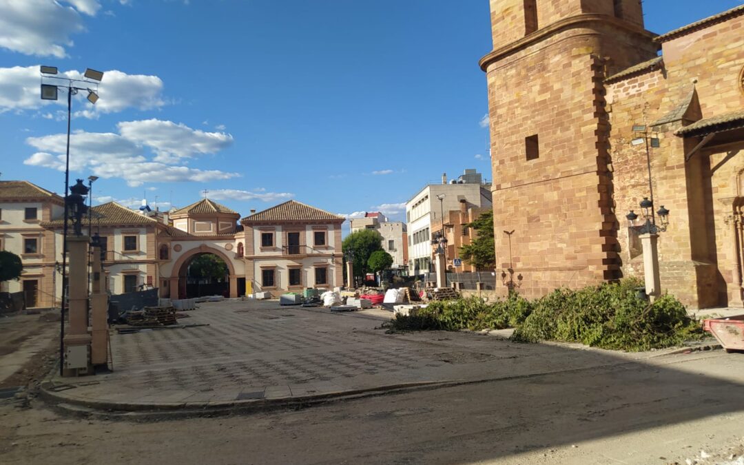 AMECO denuncia la destrucción del arbolado de la Plaza de España