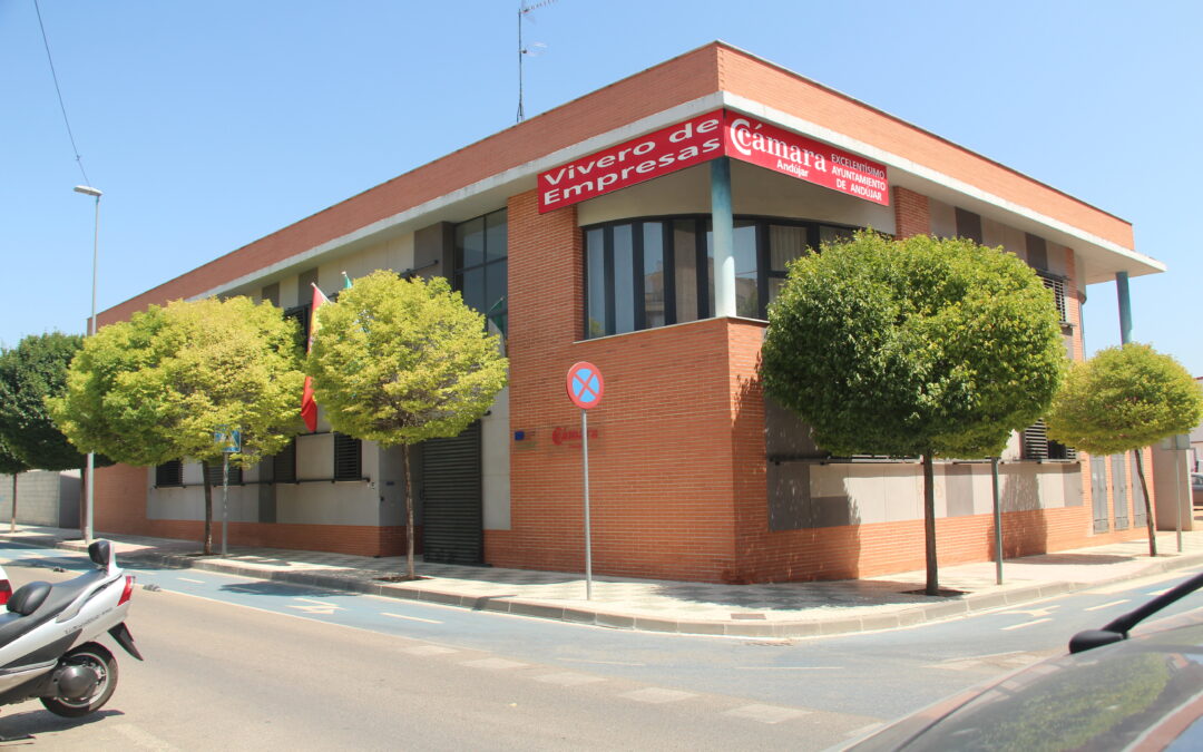 Se renuevan los Plenos de las Cámaras de Andújar sin votar las candidaturas electorales