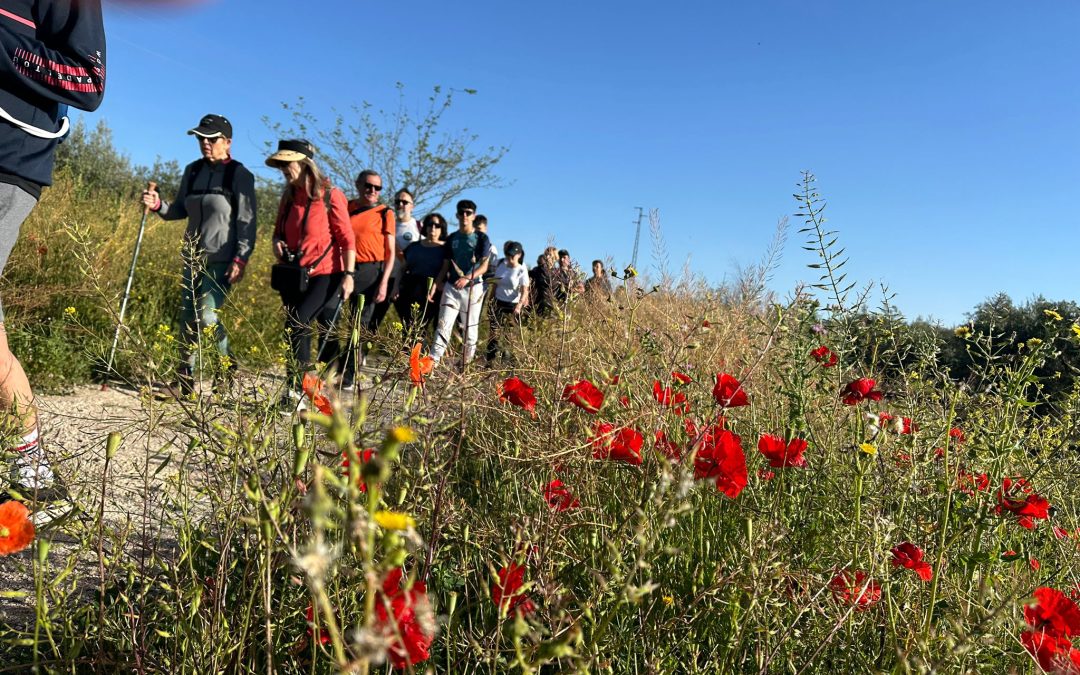 Diputación galardona al Ayuntamiento con el Premio a la Trayectoria Medioambiental