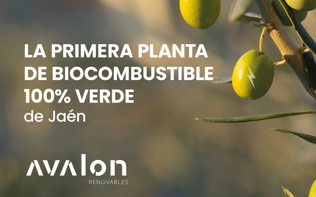 Mañana se presenta el proyecto Alperujo H2: la iniciativa que permitirá la producción de biocombustible de este derivado en Martos