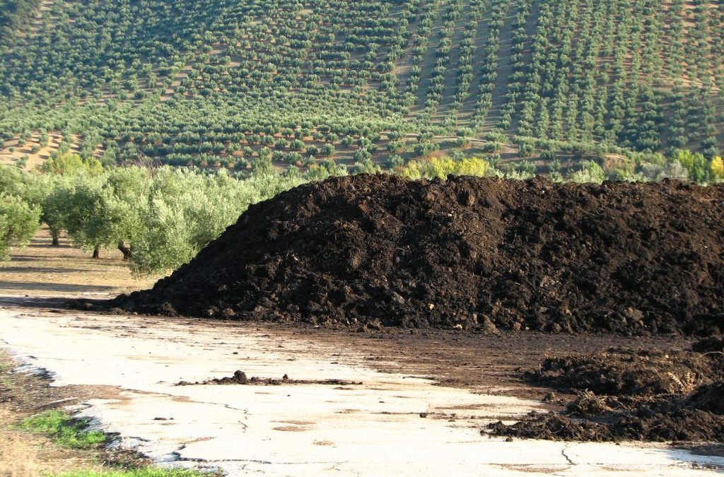 Martos contará con una planta de producción de biocombustibles de alperujo