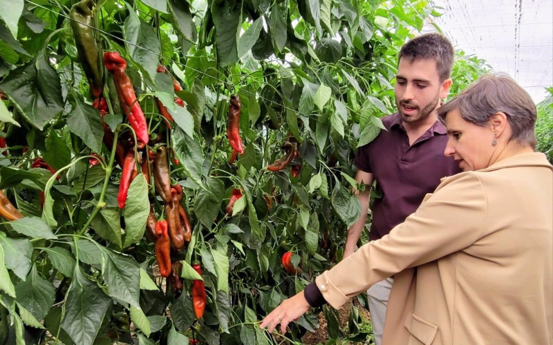 La Junta anima a los jóvenes agricultores de la provincia a solicitar las ayudas de incorporación al campo