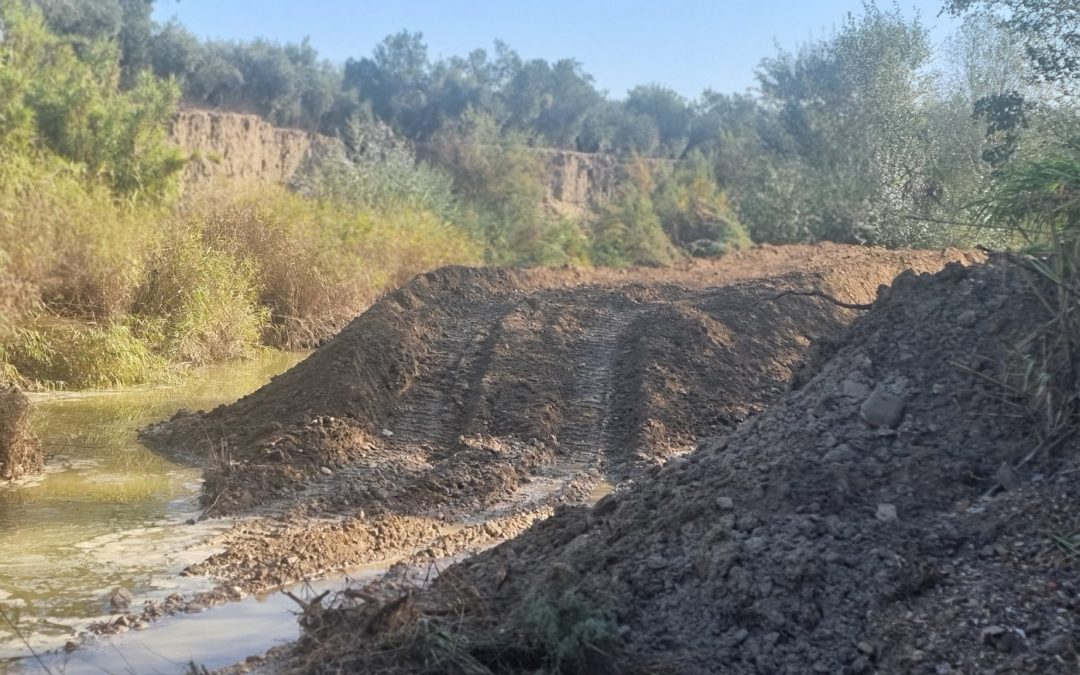 Obras de limpieza del arroyo Salado