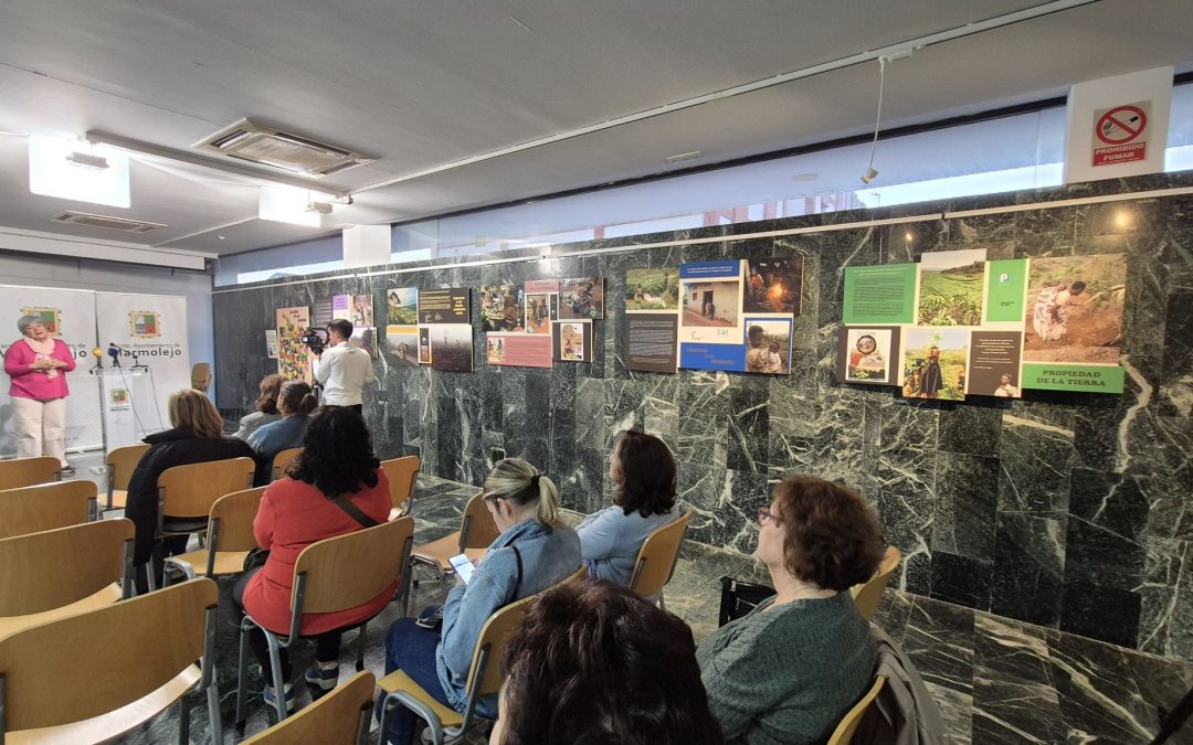 Exposición por la sororidad internacional