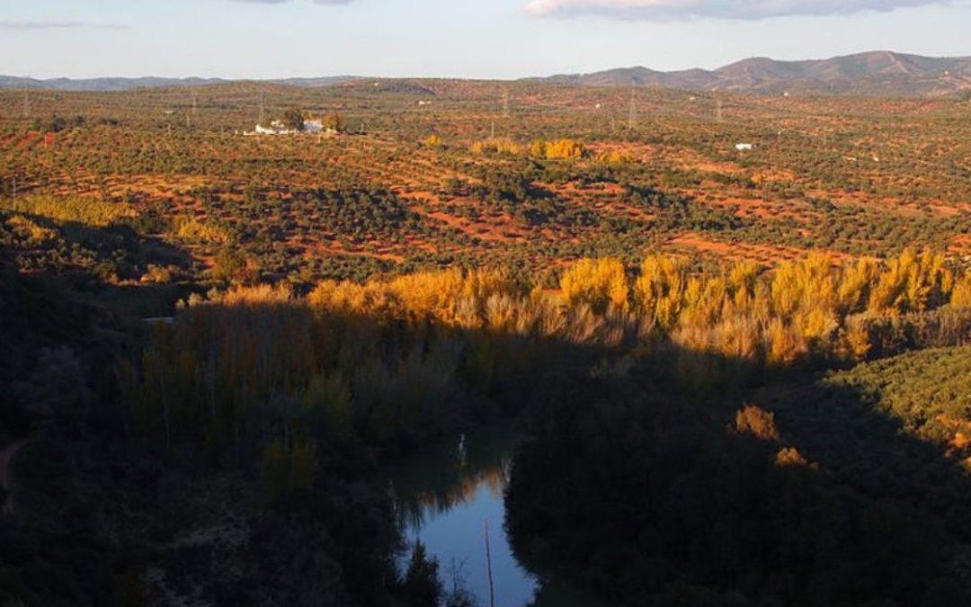 Marmolejo y Lopera, entre las 23 zonas inundables de Jaén