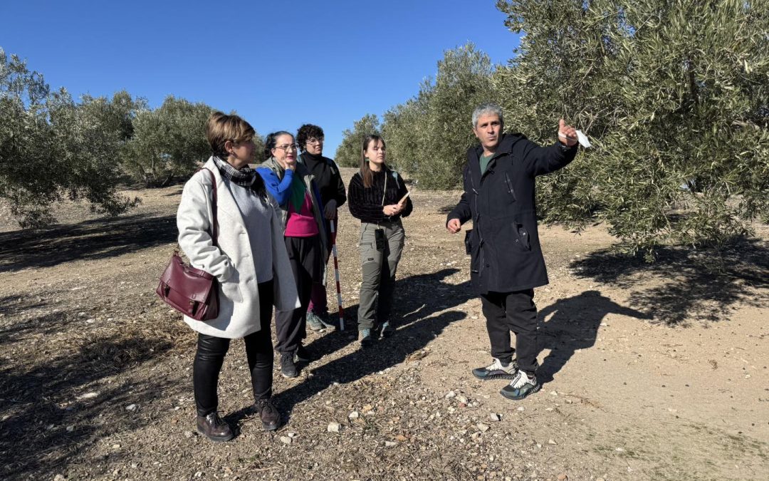 Un paso más cerca de conocer el pasado histórico de Alcaudete