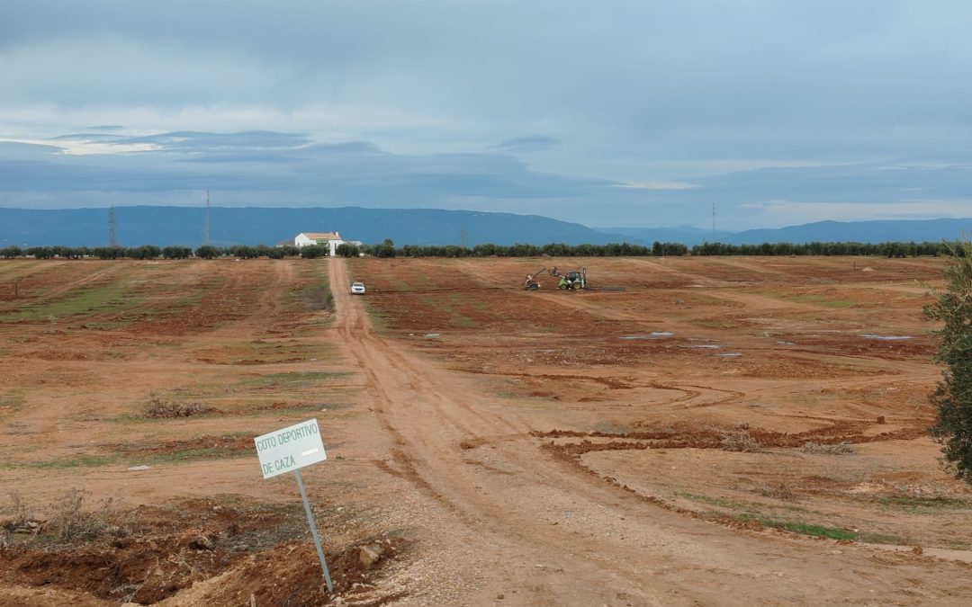 Los afectados por las placas solares registran una denuncia penal por “posibles delitos contra la flora y fauna y delito de prevaricación ambiental»