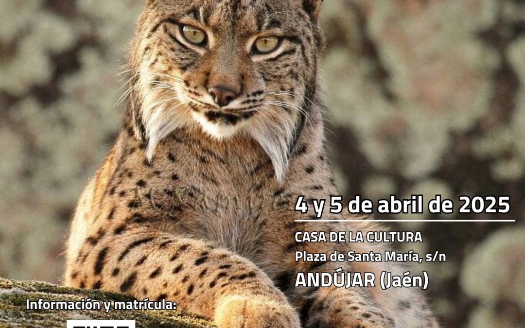 Andújar celebrará el II Seminario Tesoros de la Fauna Ibérica en Sierra Morena