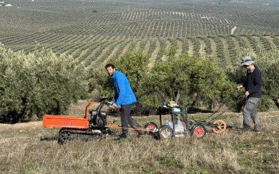 Comienza la I fase de la investigación del Oppidium Íbero en La Bobadilla