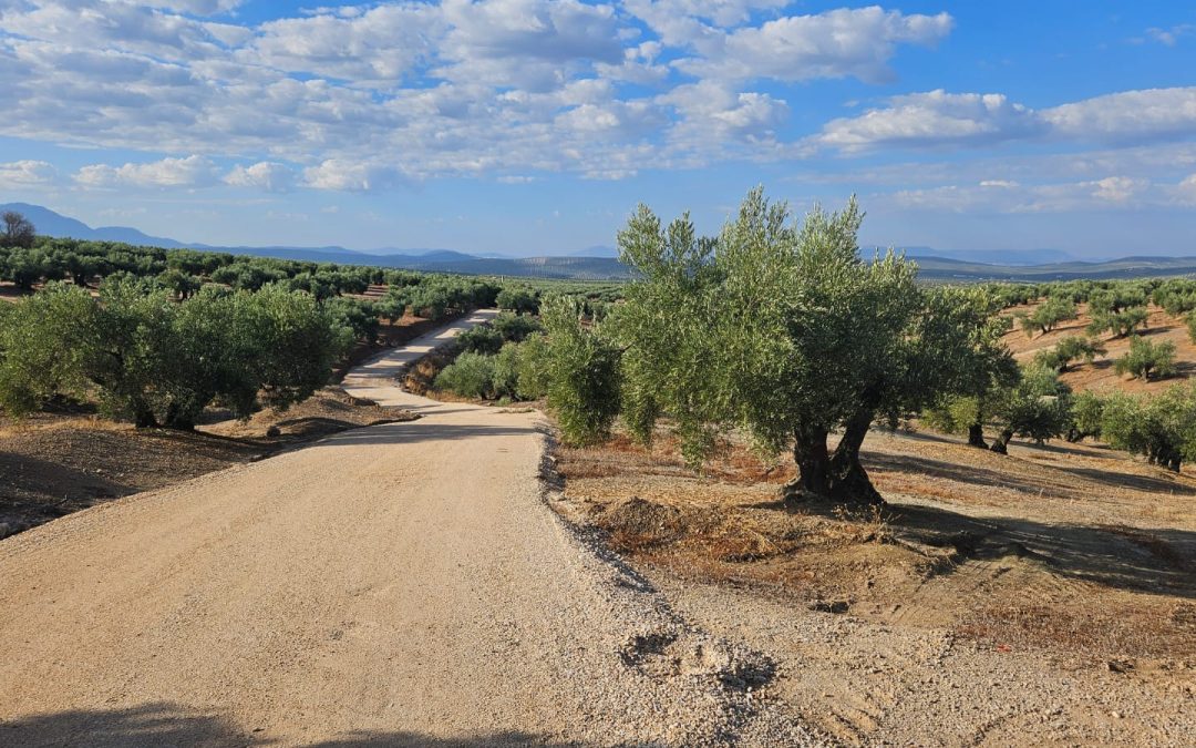 El PSOE local exige a la Junta que deje de «dar la espalda al campo marteño»