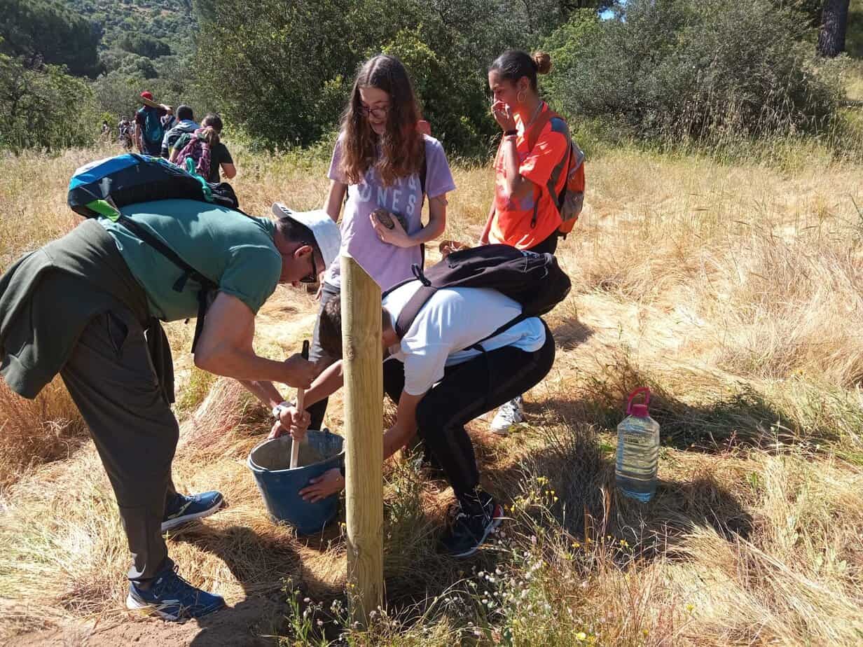 Foto balizamiento 3 Continúan las obras del Paseo de la Libertad en Marmolejo