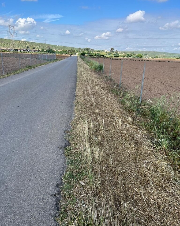 desbroce 1 Continúan las obras del Paseo de la Libertad en Marmolejo