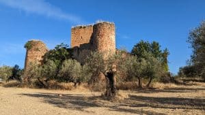 Continúan las obras del Paseo de la Libertad en Marmolejo