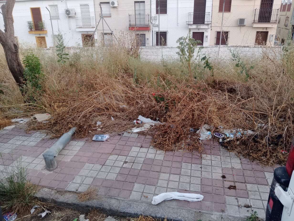 Continúan las obras del Paseo de la Libertad en Marmolejo