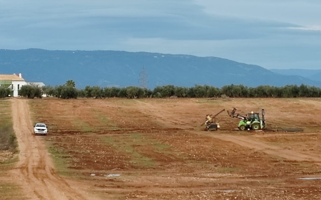 La Comisión Europea admite una petición por la protección de tierras agrícolas ante proyectos fotovoltaicos en Jaén