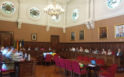 El pleno de Diputación formaliza la prestación del servicio de control y vigilancia del Virus del Nilo en 14 municipios