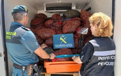 MARMOLEJO | Intervenidas en Marmolejo tonelada y media de almejas no aptas para el consumo