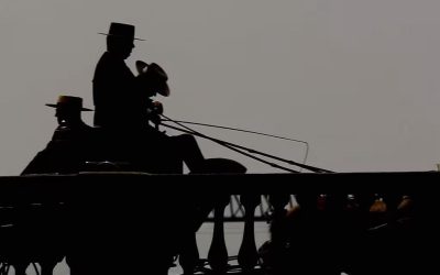 ARJONA | Tradición y elegancia en el Concurso de Atalajes de la Feria Real de Arjona, con gran participación